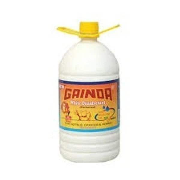 Gainda Floor Cleaner -5L