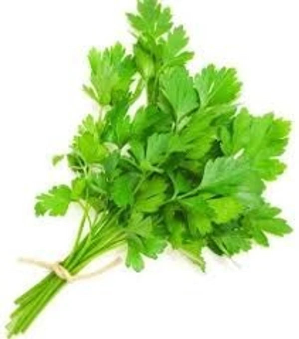 Hara Dhaniya( CORIANDER LEAVES )-50gm